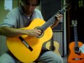 Guitarsonline  azahar 135 m flamenca