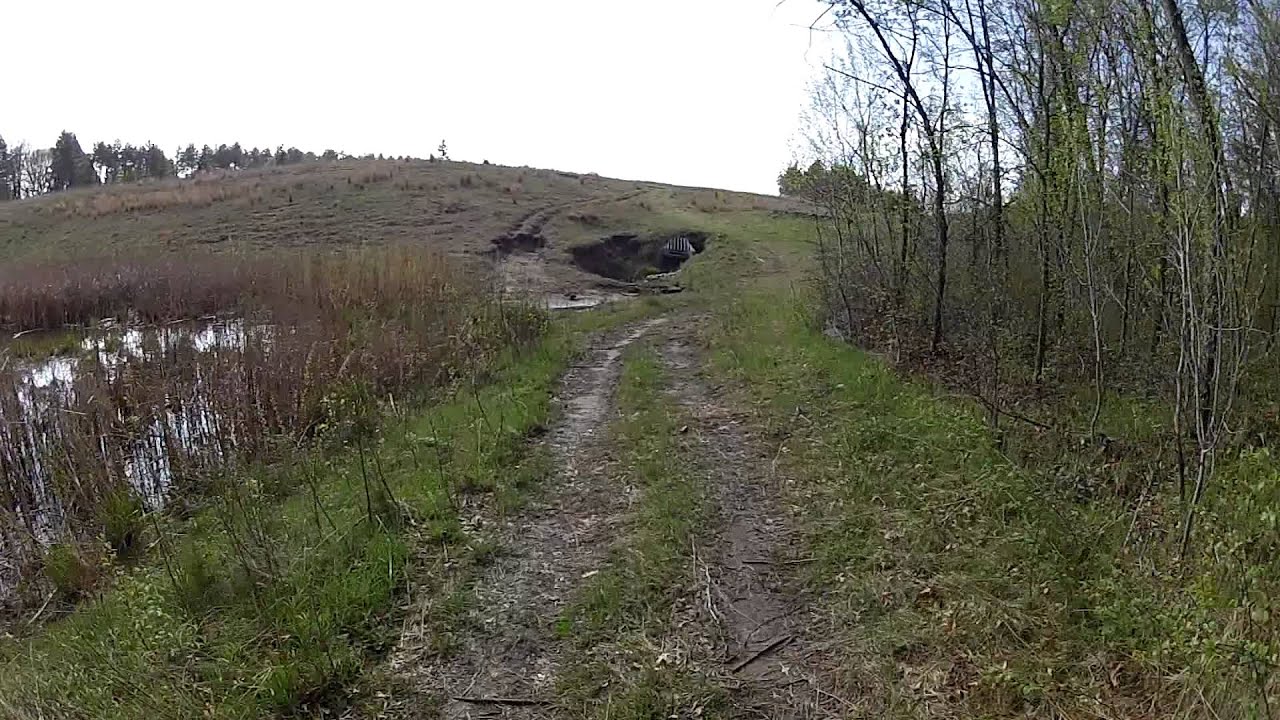 XproHeli -- My First 2 Weeks with the XP2