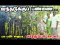 Five layer farming       bus driver  pasumai vikatan