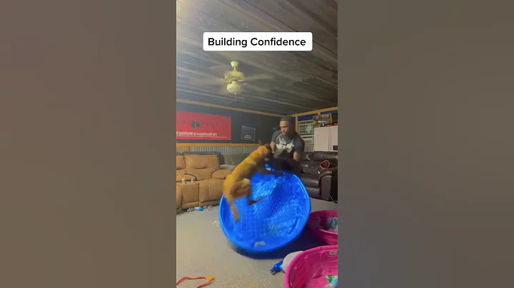 Building Confidence