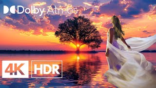 wild Nature  | Dolby Vision | 4K HDR 60FPS