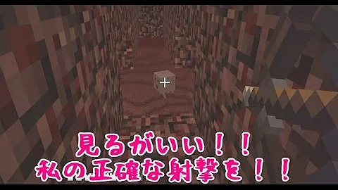 たこらいす８０