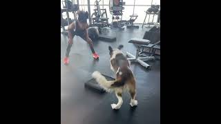 Kate And Dog In Gym 2024 #Katebeckinsale #Gym #Pets