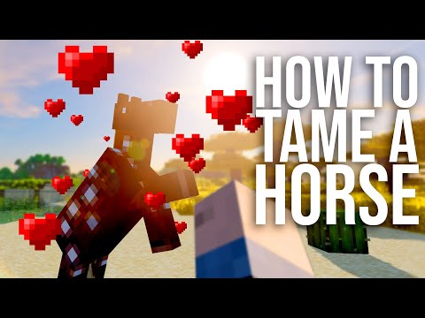 Video: How To Make A Horse In Minecraft