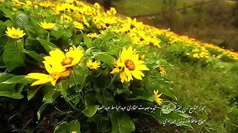 الجزء التاسع القرآن الكريم الشيخ عبد الباسط عبد الصمد