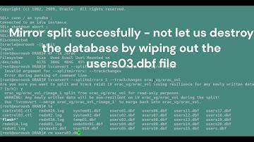 Recover Oracle database from drive by Ransomware Shooting