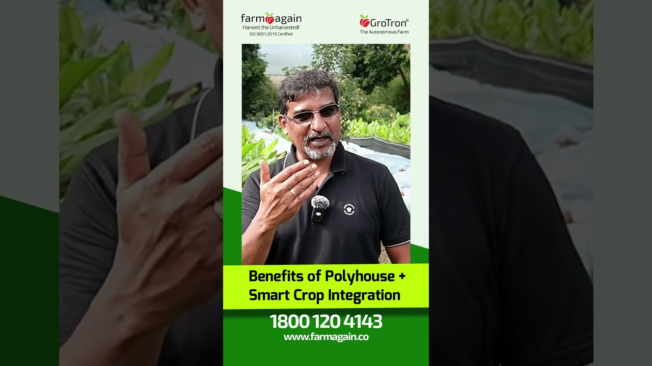 High returns with low effort by growing profitable crops in polyhouse farming!