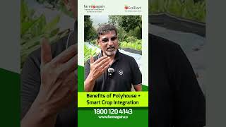 High returns with low effort by growing profitable crops in polyhouse farming!