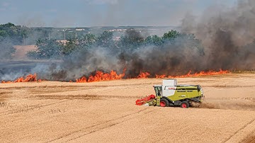 FIRE Barley Field (Harvest 2025 Hungary)