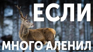 КАК ВЕРНУТЬ БЫВШУЮ, ЕСЛИ МНОГО И ДОЛГО АЛЕНИЛ. ВОЗВРАТ БЫВШЕЙ ПОСЛЕ АЛЕНИЗМА. ВЕРНУТЬ ДЕВУШКУ КАК!?