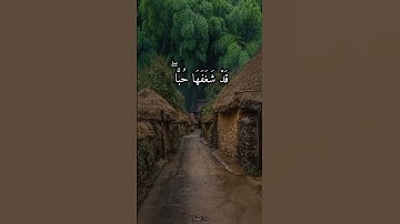 تلاوة رائعة للشيخ الزين محمد احمد