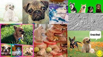 The PhotoScapeX Photo Editor & Viewer Overview and Demonstration