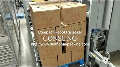 robot palletizer for carton box