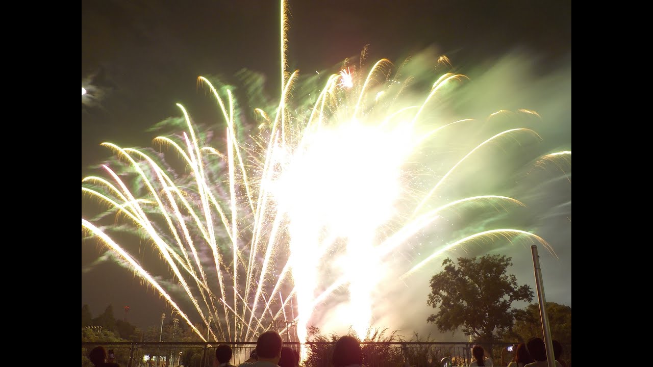 花火 2020 豊島園