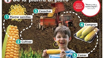 Presentación del modulo 8