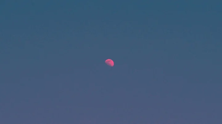 Tasha - But There's Still The Moon