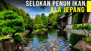 Ubah Selokan Penuh Sampah Jadi Kolam Ikan Ala Jepang