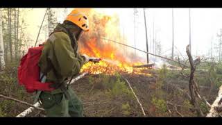 سيبيريا تحترق و إلتهام مئات الكيلومترات من الغابات