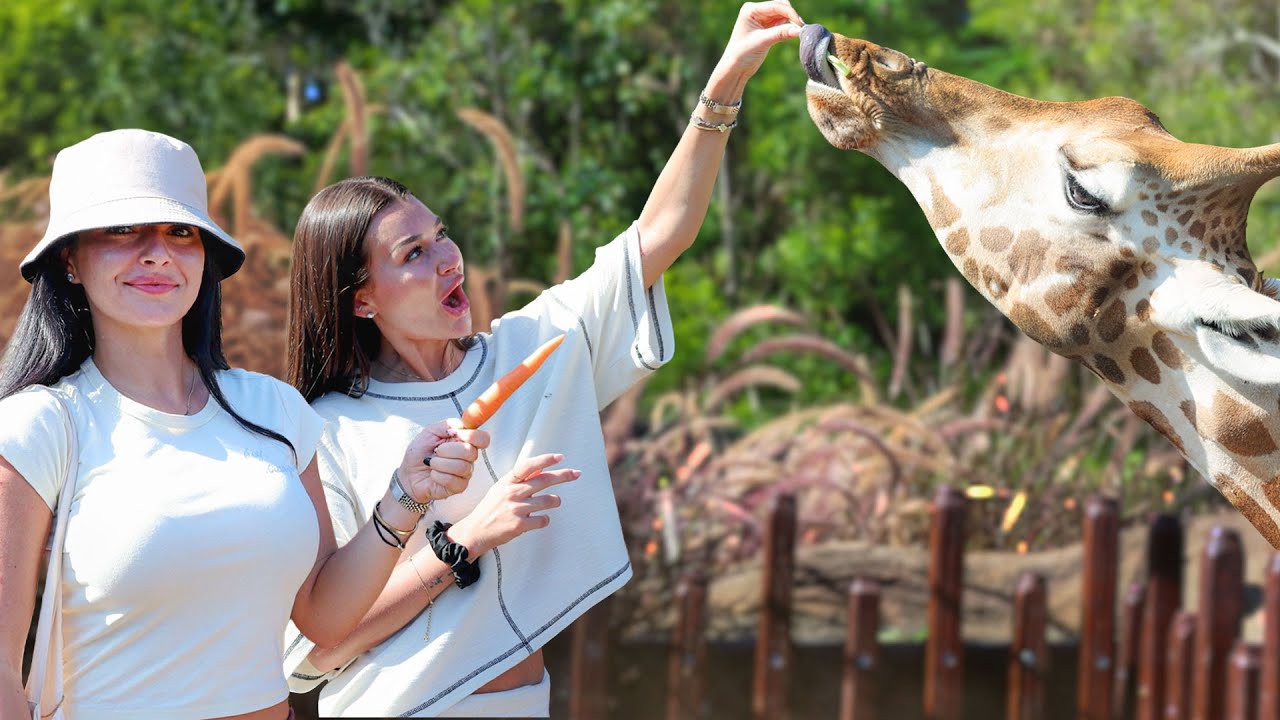Кристина и Эмбер отправились в австралийский зоопарк!