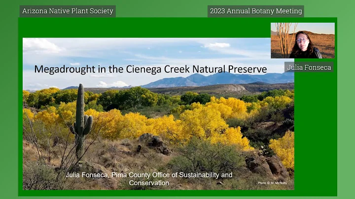 Megadrought in the Cienega Creek Natural Preserve