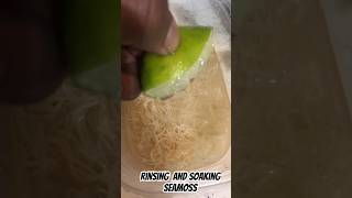 Sea moss soaking process drsebi seamoss
