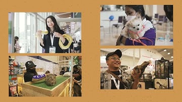IIPE 2022 - Day 1 Highlight