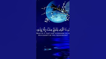 الشيخ ماهر المعيقلي اية الكرسي سورة البقرة عن