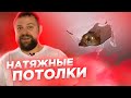 Я в шоке!!! Недостатки натяжных потолков: вся правда!!!