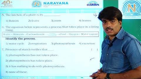 1ST SEP CLASS 4 CBSE SCIENCE AMAZING ASSIGNMENT KEY