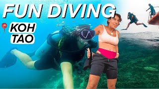 FUN DIVING IN KOH TAO 🤿🇹🇭 Thailand Vlog with La Bombona Diving