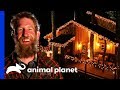 Get In The Christmas Spirit With This Ultimate Cozy Treehouse! | Treehouse Masters
