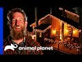 Get In The Christmas Spirit With This Ultimate Cozy Treehouse! | Treehouse Masters Get In The Christmas Spirit With This Ultimate Cozy Treehouse! | Treehouse Masters