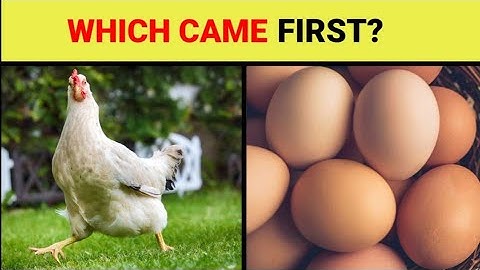 Which came first Chicken🐔 or  Egg 🥚? | did you know facts | Facts in english #shorts #factsshorts