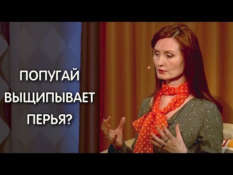 Вопрос: Почему попугая рвёт?