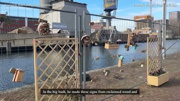 Interview with Living Lab Binckhaven