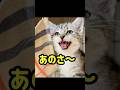 銀次くんからファンの皆さんへ(笑) #shorts