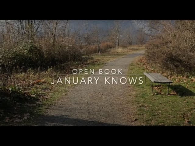Open Book - January Knows