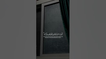 ألا بذكر الله تطمئن القلوب. #القرآن_الكريم #قرآن #قران_كريم #راحة_نفسية #تلاوة_خاشعة