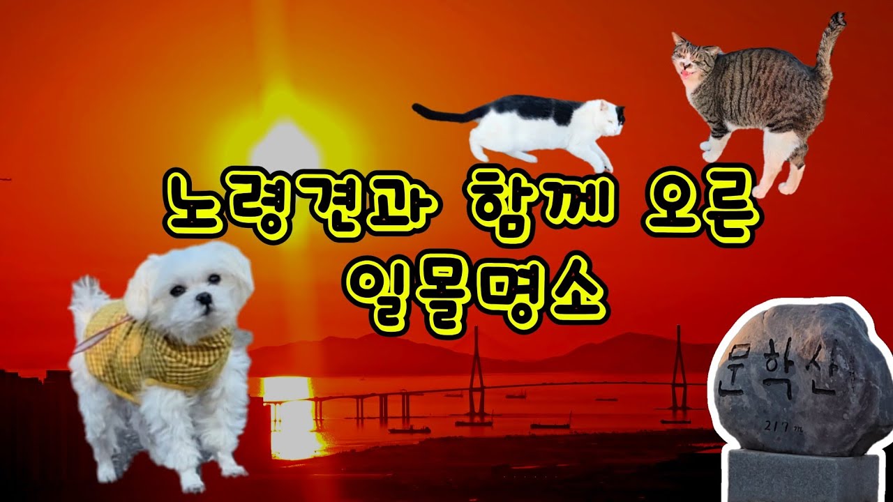 |인천대교 노을|장미공원은 산책하고‼️산길은 대부분 안겨서 마주한  ⛰️문학산⛰️정상뷰