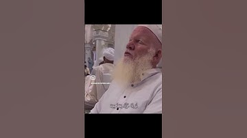 ما تيسر من سورة الزمر بصوت جميل 🤍