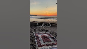 إنما المؤمنون الذين إذا ذكر الله وجلت قلوبهم وإذا تليت عليهم آياته زادتهم إيمانا وعلى ربهم يتوكلون