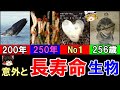 【ゆっくり解説】一番長く生きる生物は？寿命の長い生き物 17選