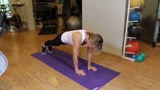 Single arm Plank w  Side Rotation