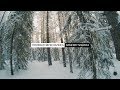 Полевая звукозапись - Зимняя тишина | Field recording - Winter silence