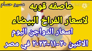 اسعار الفراخ البيضاء اليوم اسعار الدواجن اليوم الاثنين ٢٠-١١-٢٠٢٣ في مصر