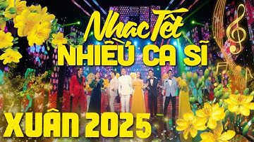 Nhạc Tết 2025 Đặc Biệt Hay – Liên Khúc Nhạc Xuân Ất Tỵ , Nhạc Tết 2025