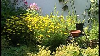 Gartenimpressionen