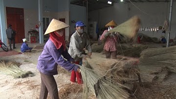 Phóng Sự Việt Nam: Quảng Xương vững chắc xây dựng nông thôn mới