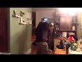 P winkle harlem shake