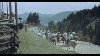 ⁣Камінна душа (1989) ( Ukrainian film )